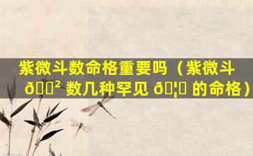 紫微斗数命格重要吗（紫微斗 🌲 数几种罕见 🦅 的命格）